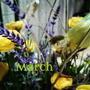 春が待ち遠しい 今日から3月
