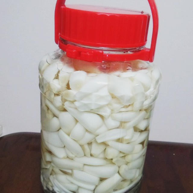 らっきょうを漬けました(塩漬け編)
