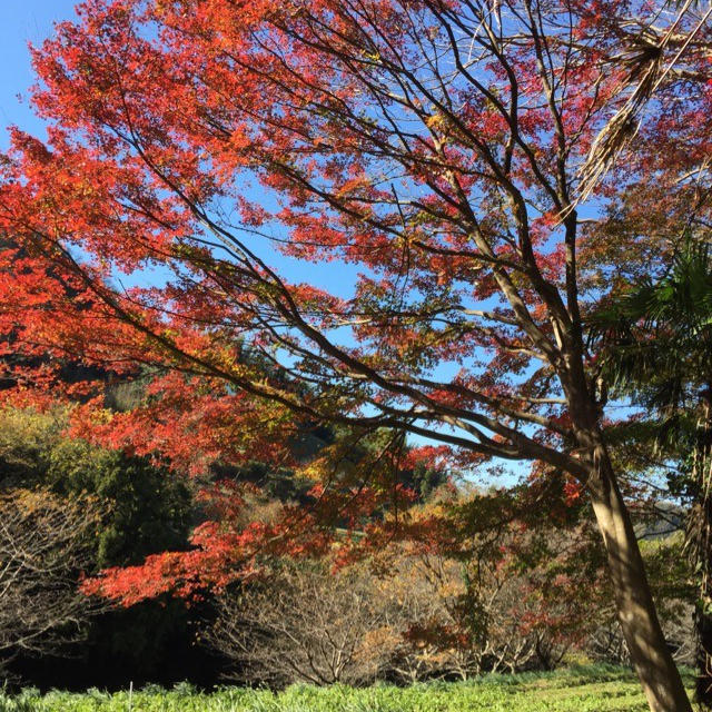 週末は山小屋生活♪