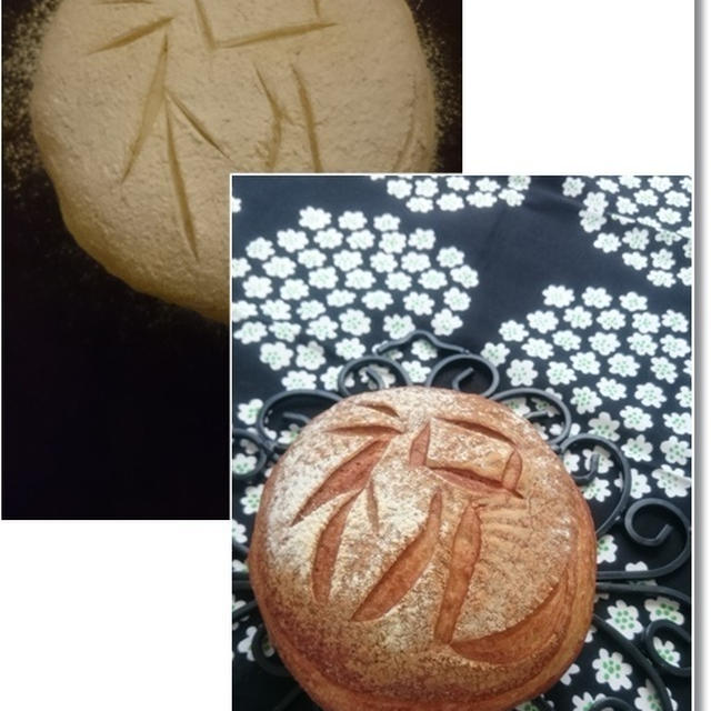【祝パン】丸かじり！と、ある意味スペシャルな誕生日と病院のこと。
