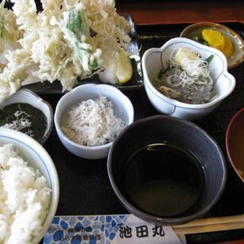 鎌倉で昼ごはん。
