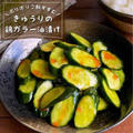 切って漬けるだけ！ご飯がすすむ大人のピリ辛味「きゅうりの鶏ガラー油漬け」おつまみ/作り置きレシピ