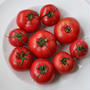 トマトの水分だけで作るトマトカレー