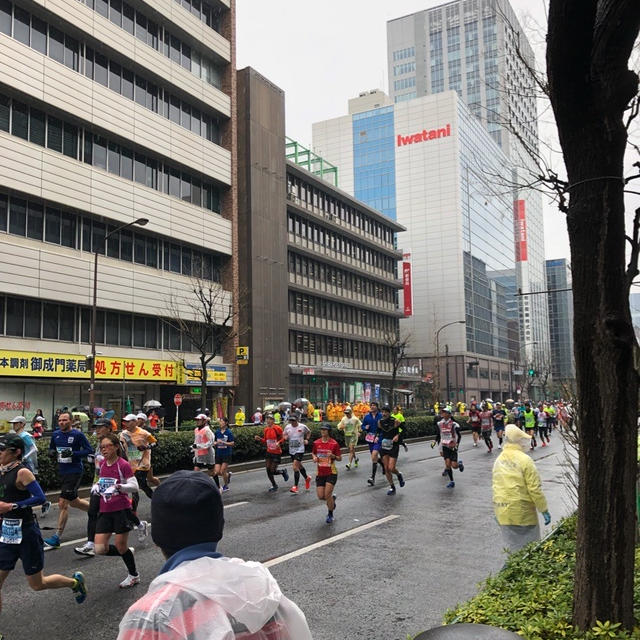 東京マラソン（の応援）