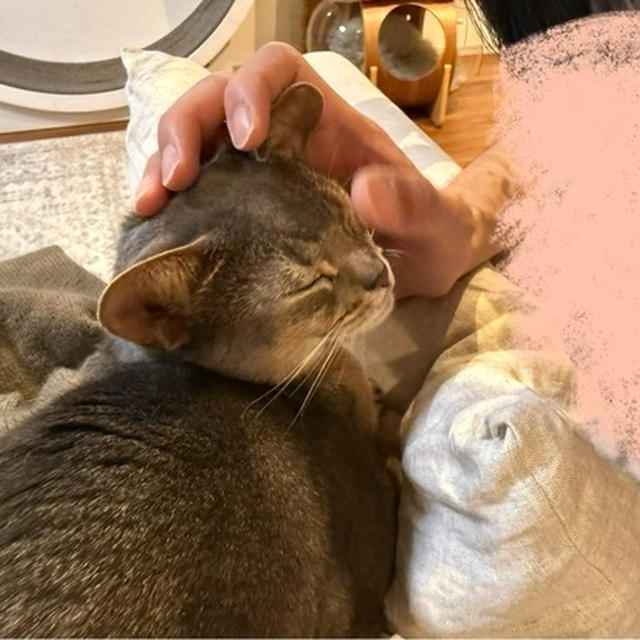 ごめん寝坊と、でれでれパパ