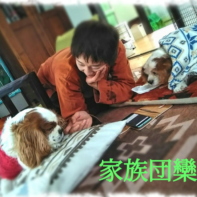 鏡の㊥の自分 (º ﾛ º๑)ﾎｰｰｰ