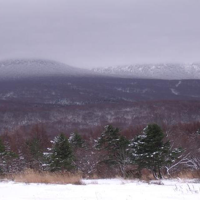 八甲田山も温泉も雪の中(;^_^