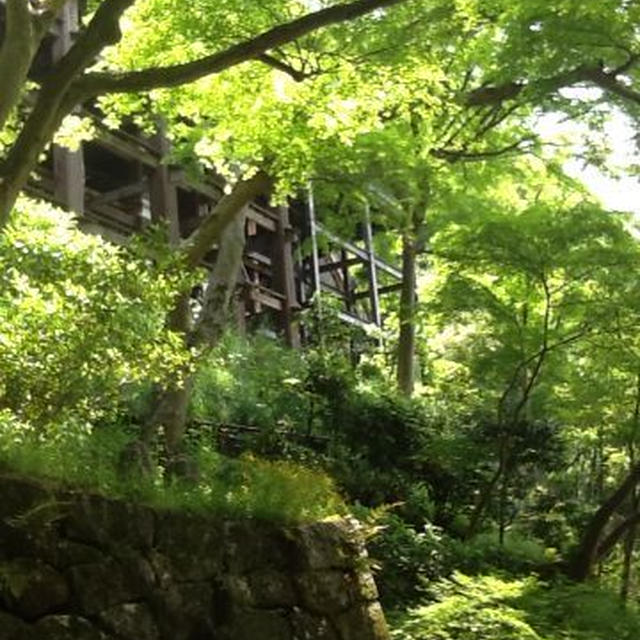 偏った京都半日トリップ①清水編