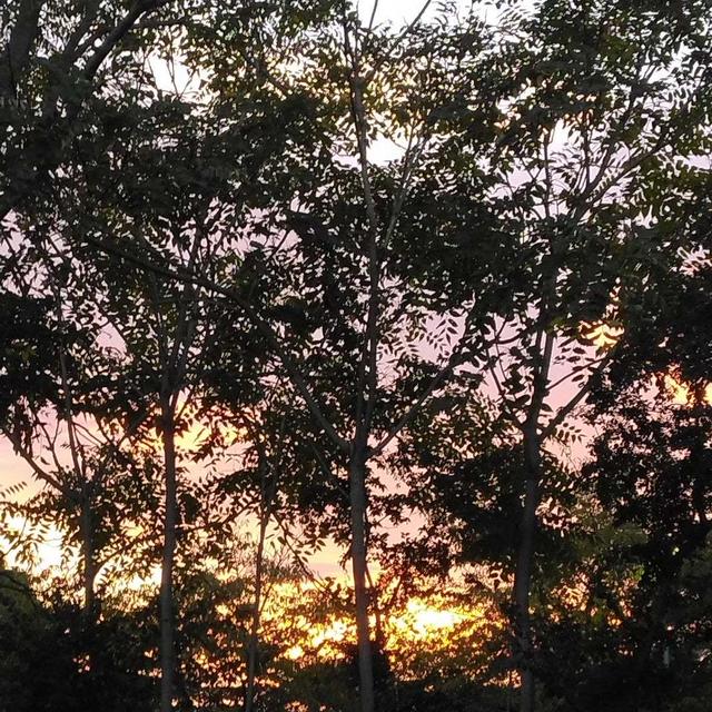 今日の夕焼け#最近撮った写真は