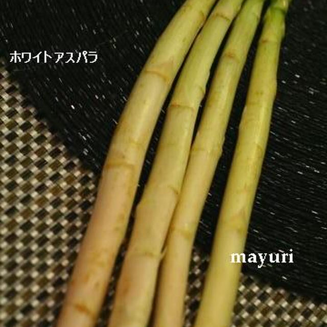 白いご褒美；ホワイトアスパラ