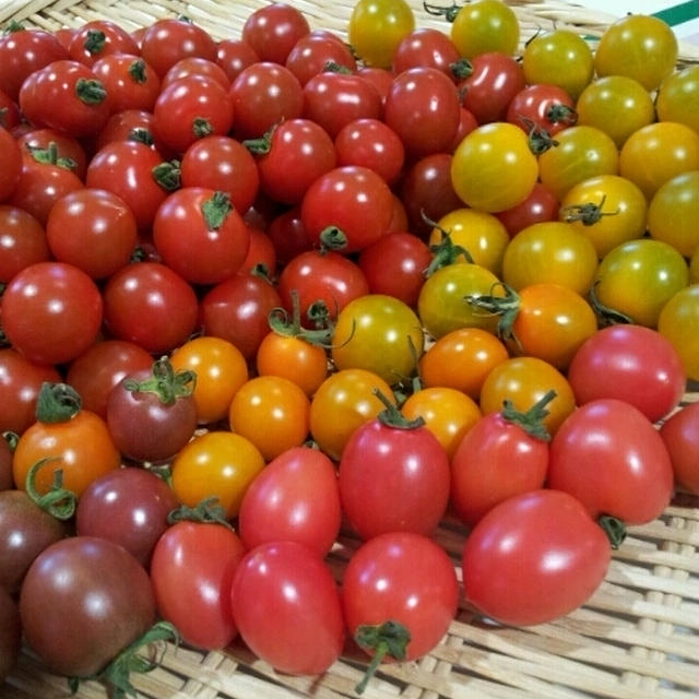 福島のお野菜をたくさん食べましょう☆