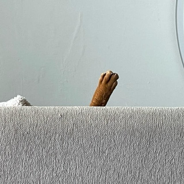 チラッとな