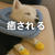 なにげない癒やし　