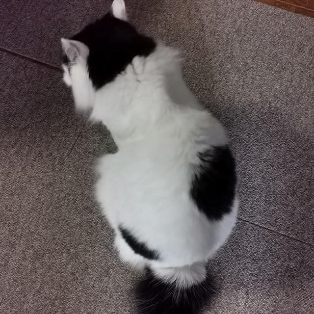 我が身で糸をつむぐ男...
