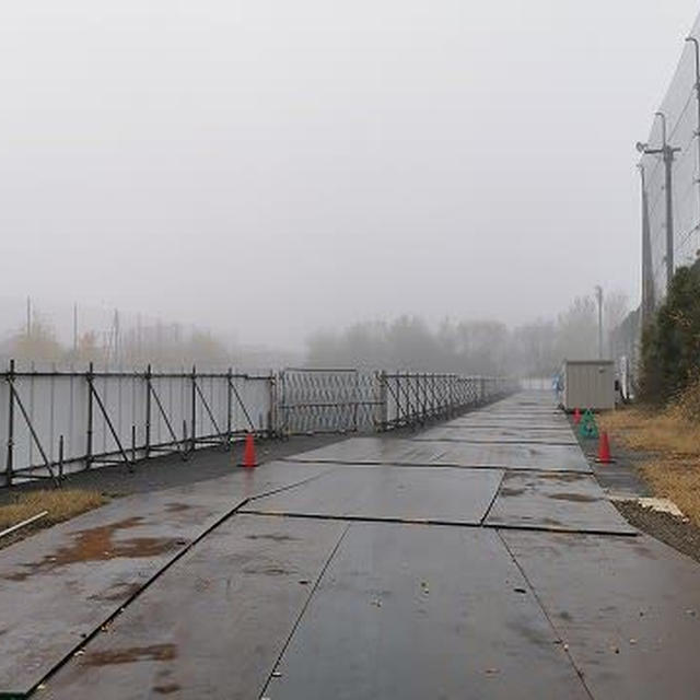 国営昭和記念公園の銀杏