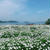 フラワーパーク浦島へ^_^