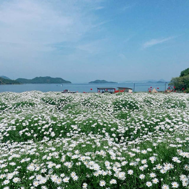 フラワーパーク浦島へ^_^