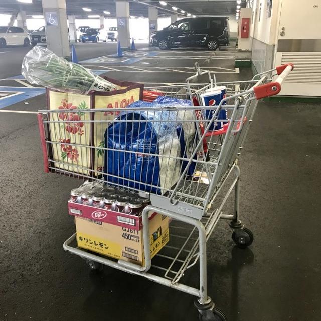 コストコの戦利品達♡【#コストコ#戦利品#買い出し】