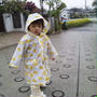 雨