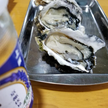 牡蠣小屋幸福丸