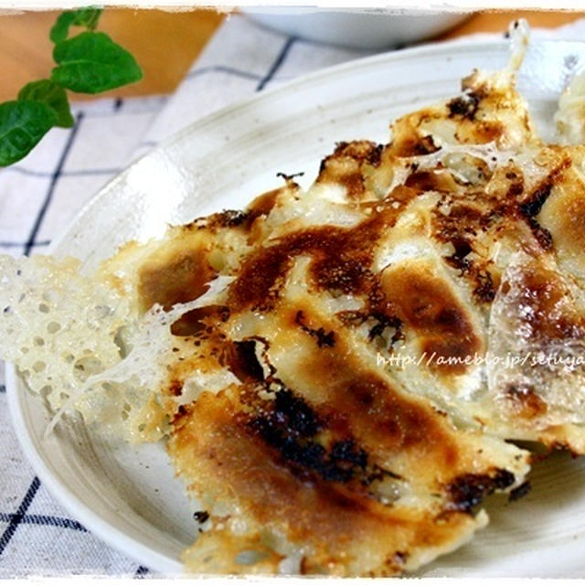 あきさんの羽付き餃子ヽ(*´∀｀)ノ