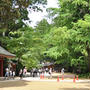 香取神宮で　夏越の大祓
