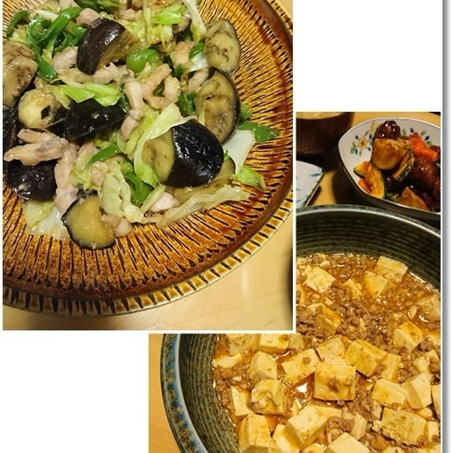 ダンナさん食堂☆先週は中華な気分とトトの子育ての変化！？