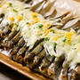 シシャモのオニオンチーズ焼き /　お兄ちゃんの塾弁