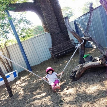 夏は別れの季節です・・・インオーストラリア