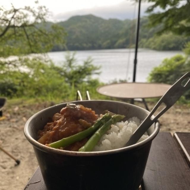 【コストコ】冷凍の焼鳥用もも肉串で簡単トマトカレー