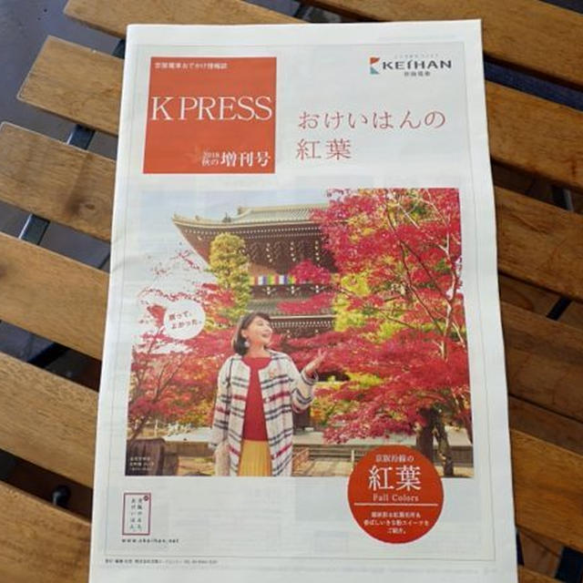 【あと出し紅葉情報】京阪のK PRESS増刊号の表紙のお寺に行ってきた！一緒に真如堂も【金戒光明寺】