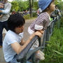 多摩動物公園　2