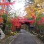健康法師の京都旅行　2023年11月25日の赤山禅院　さくらと紅葉の競演　晴明神社