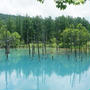 【北海道旅行記②　青い池　白ひげの滝】