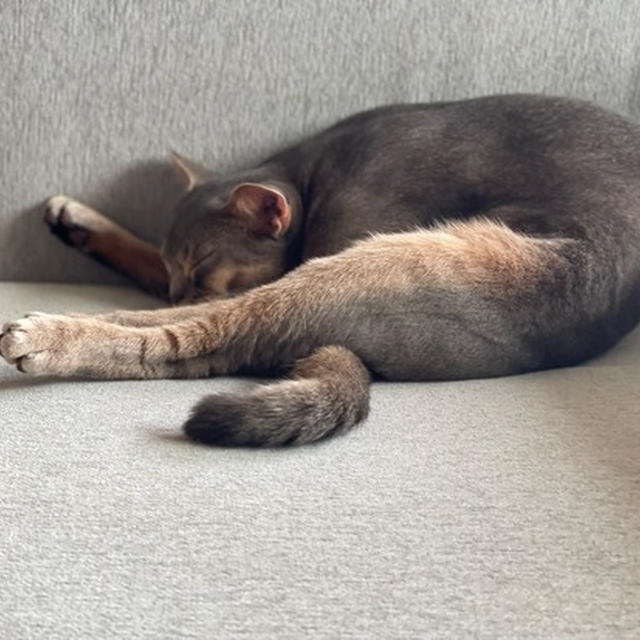 寝相が独特すぎて…