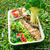 Miniature Garden Bento & Singapore Garden Festival 2014