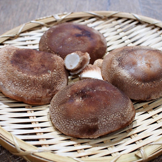 きのこ尽くしの食卓