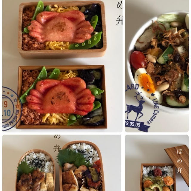 5/6から5/10までの女子高生&女子大生のためのお弁当まとめ◎まるごとカニ弁を食べた2人の反応ｗ