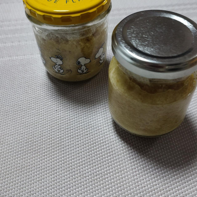 発酵生姜