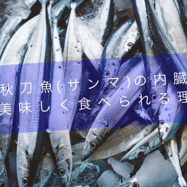 【秋刀魚(サンマ)の内臓】が美味しく食べられる理由