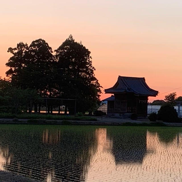 夕陽の水鏡を眺めながら走る贅沢⭐︎