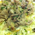 豚肉☆塩麹ネギダレ