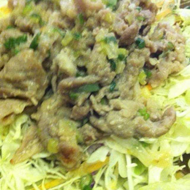 豚肉☆塩麹ネギダレ