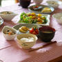 夏野菜いっぱいの晩ごはんとすぅの悪夢