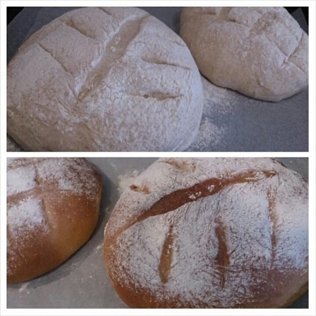 whole wheat flower