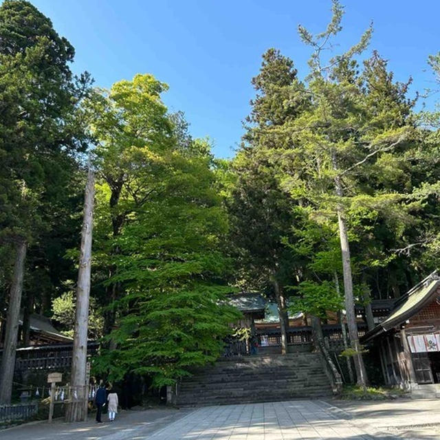 朝の諏訪大社