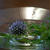 Photo Lesson  2011.7.実践編