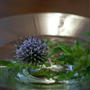 Photo Lesson  2011.7.実践編