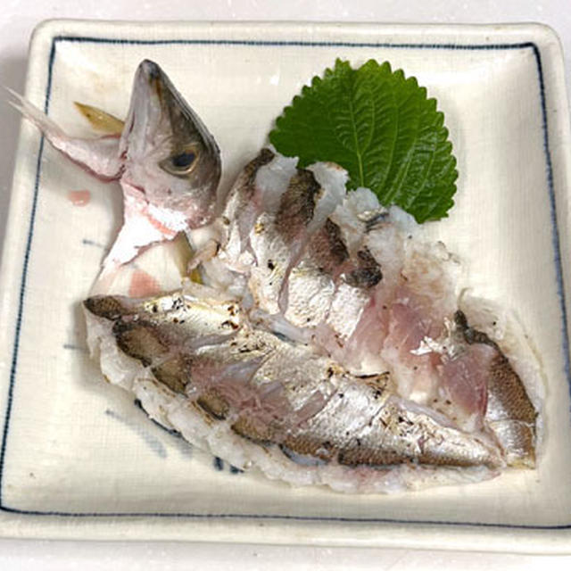 カマスの炙り刺身