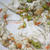 Risotto for Dogs